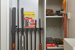 Example of use Safe Dry for cabinets and safes