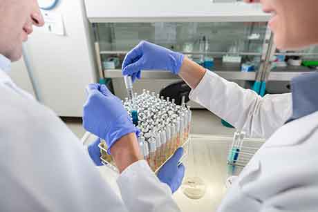 Example of use molecular diagnostics