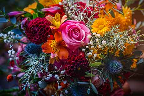 Example of use: drying flowers