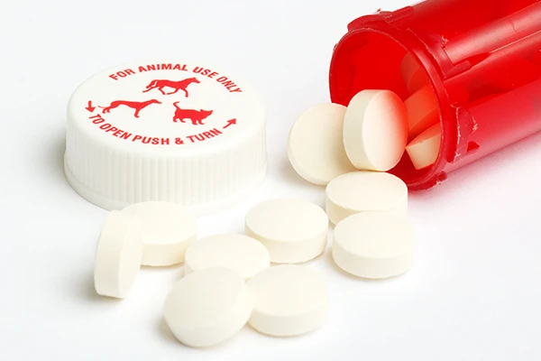 Image thématique Aliments pour animaux dans l'emballage