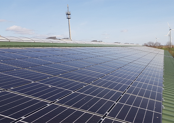 Wärmegedämmte Produktions- und Lagerhalle (Dämmung min. 10 cm WLG 035) und Heizung aus Abwärme von Maschinen
99 kWp PV-Anlage auf Dach der Produktionshalle
Grün- und Versickerungsflächen auf Firmengelände zur Entlastung von Kanalisation und Gewässern
Bäume und Knickanpflanzungen