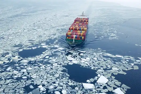 Porte-conteneurs dans la mer de glace