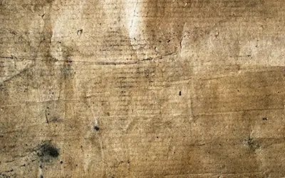 Emballages ramollis par la sueur du conteneur